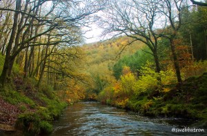 The River Teign