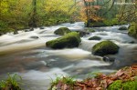 The River Teign