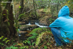 Self Portrait by the brook