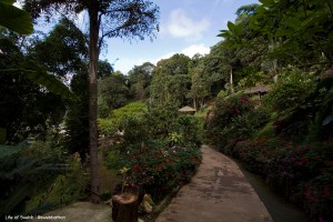 Hmong Village, Doi Pui