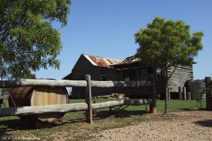 Hanging Tree wines in the Hunter Valley