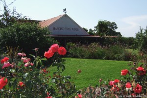 Hanging Tree wines in the Hunter Valley