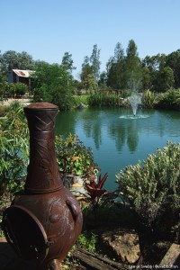 Hanging Tree wines in the Hunter Valley