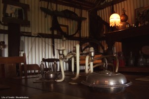 Hanging Tree wines in the Hunter Valley