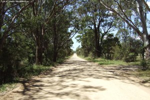 A back road leading to a small country zoo, Hunter Valley