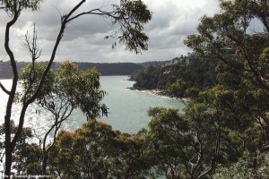 Manly to Spit Bridge
