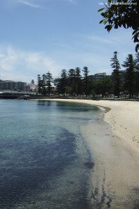 Manly Harbour/Wharf Beach.