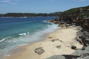 Manly to Spit Bridge