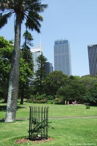 Sydney Botanical Gardens