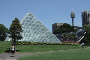 Sydney Botanical Gardens