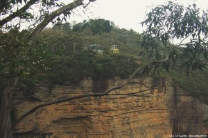 Scenic World