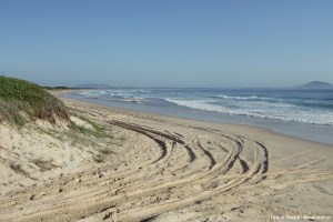 Dawn Surf at Crescent Head.