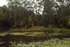 Paul Recher's Hippy Heaven