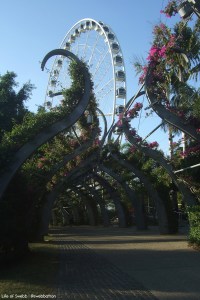 Southbank and The Eye