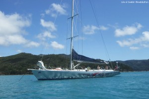 The British Defender