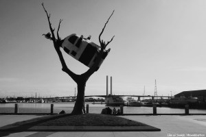 Cow In A Tree, Docklands, Melbourne