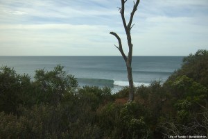 Bells Beach