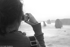 Bee at the 12 Apostles