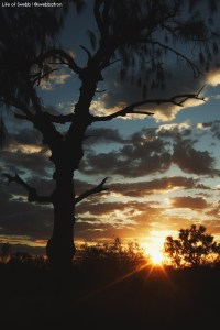 Sunset in the Red Centre