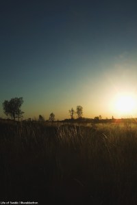 Kata Tjuta