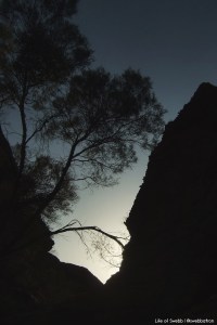 Kings Canyon