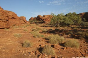 Kings Canyon