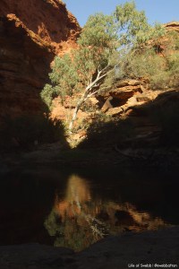 Kings Canyon
