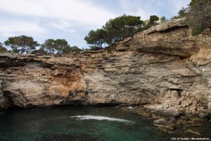 Coastline near Es Pontas