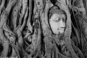 Wat Mahathat, Ayutthaya