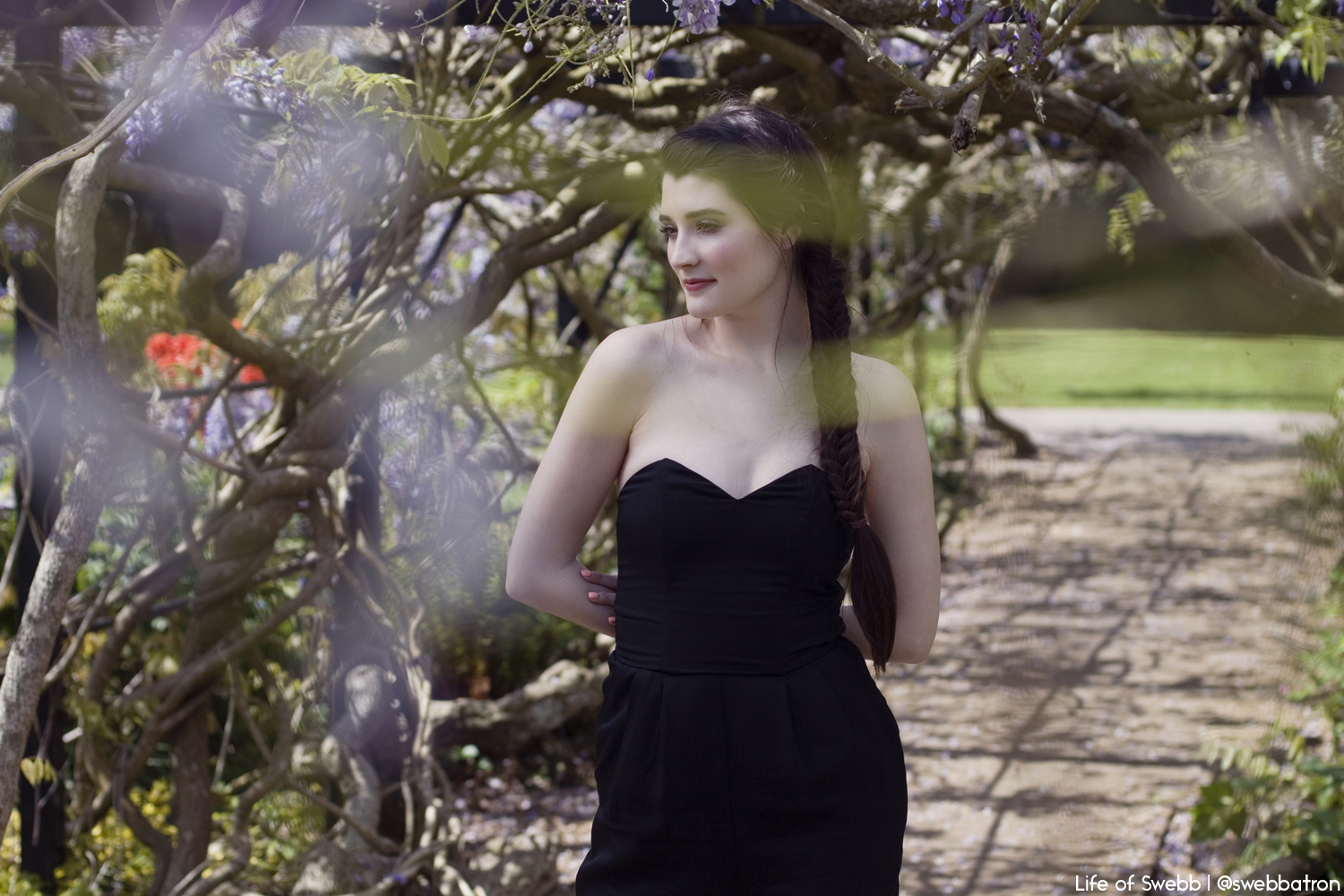 Gaby and the Wisteria