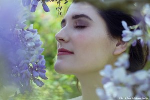 Gaby and the Wisteria