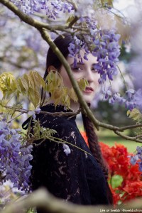 Gaby and the Wisteria