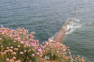 View from the top of Red Rock out to sea.