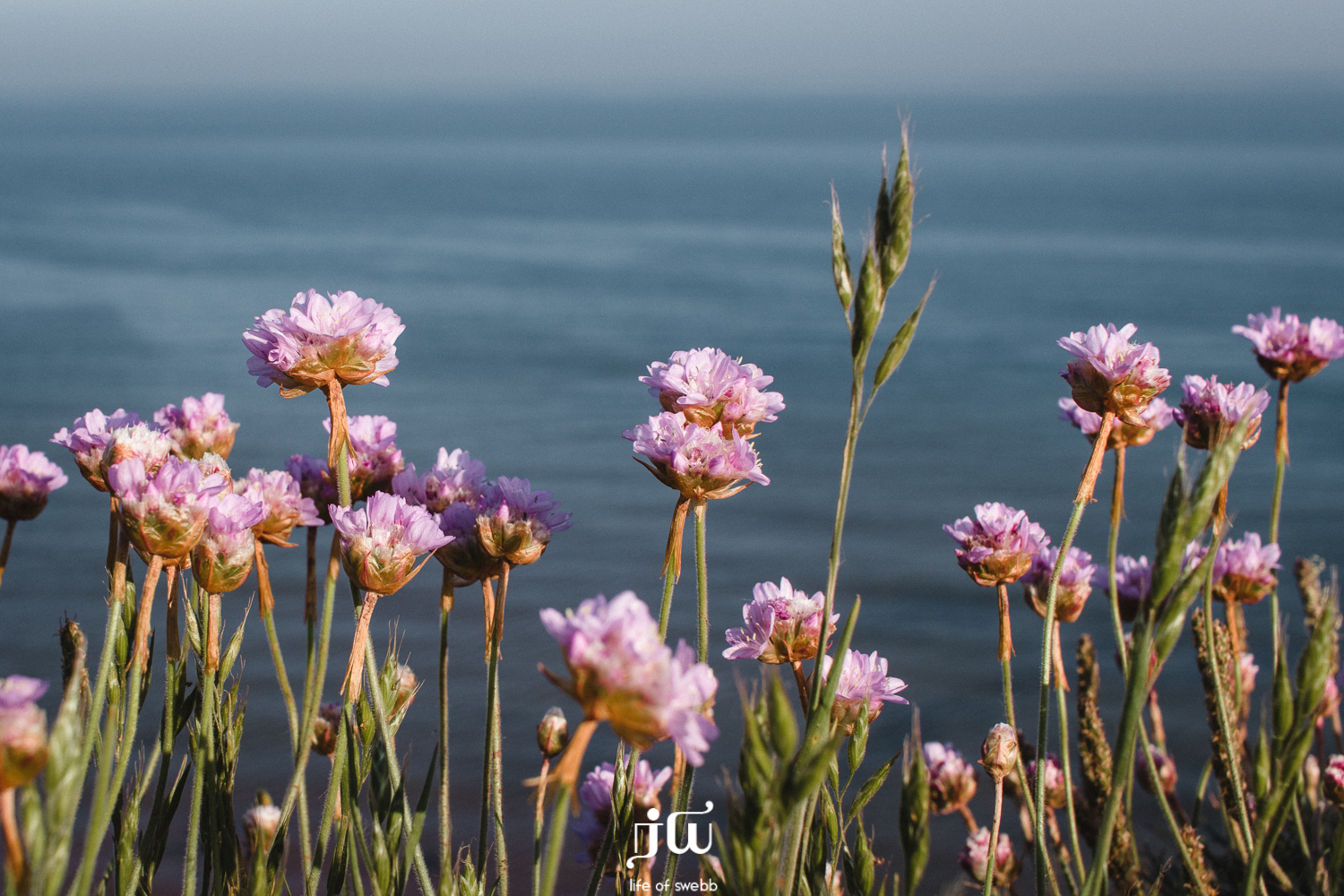 Orcombe Point, Exmouth