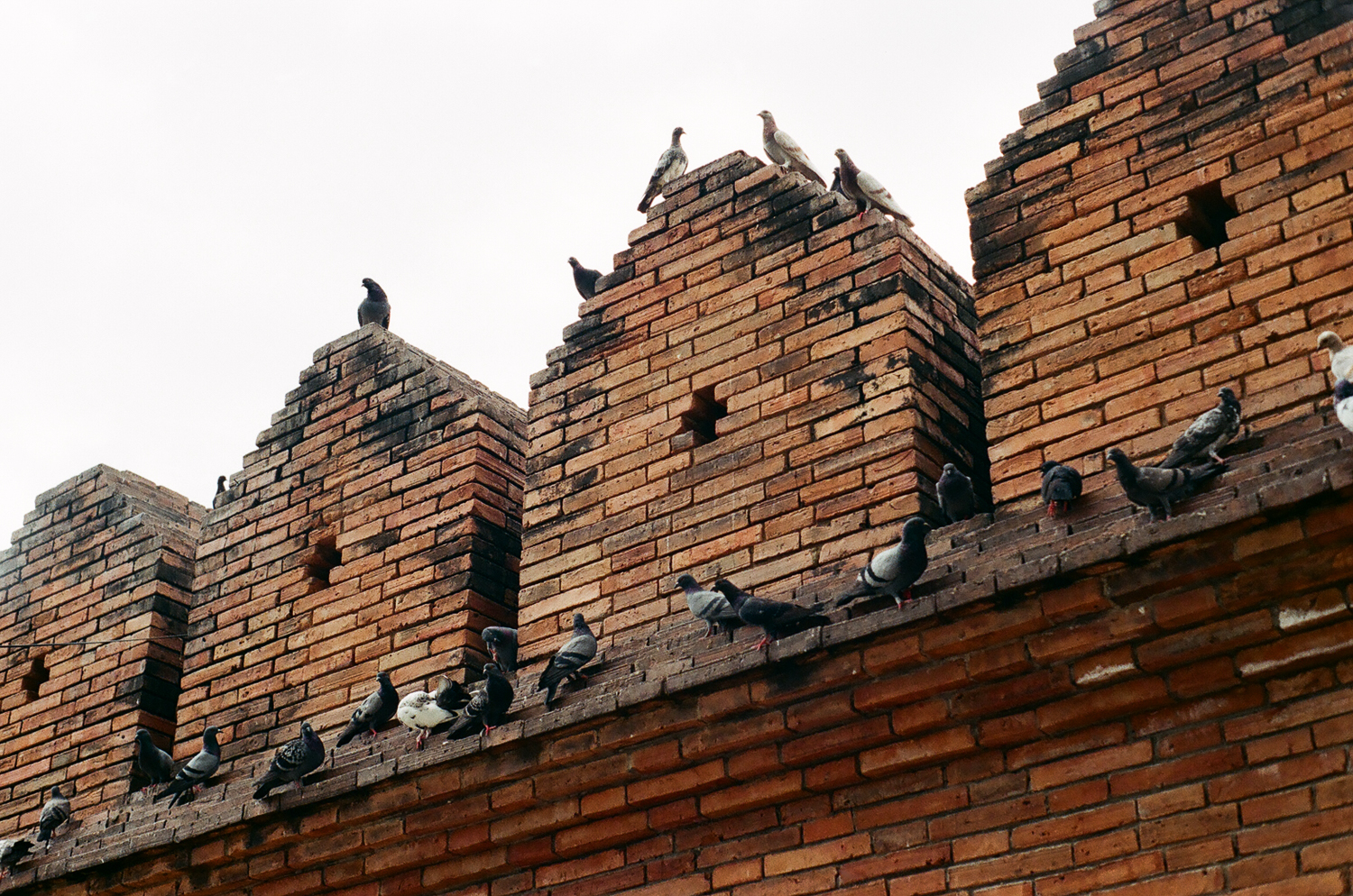 Chang Mai