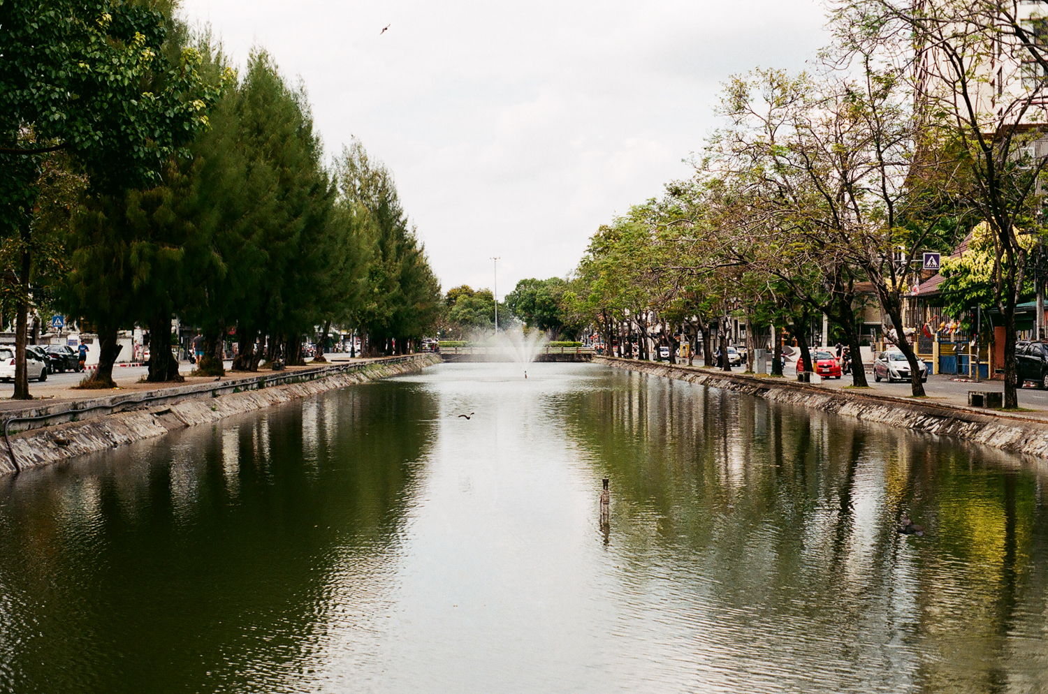 Chang Mai