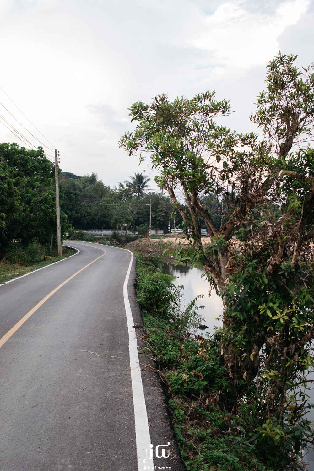 The Nowhere Art Cafe and Farmstay